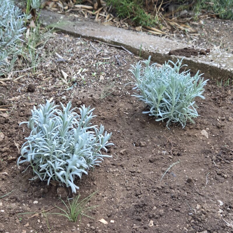 Kamenčići u projektu “Zajedno doprinosimo čišćem okolišu” 01 - Udruga Kamenčići