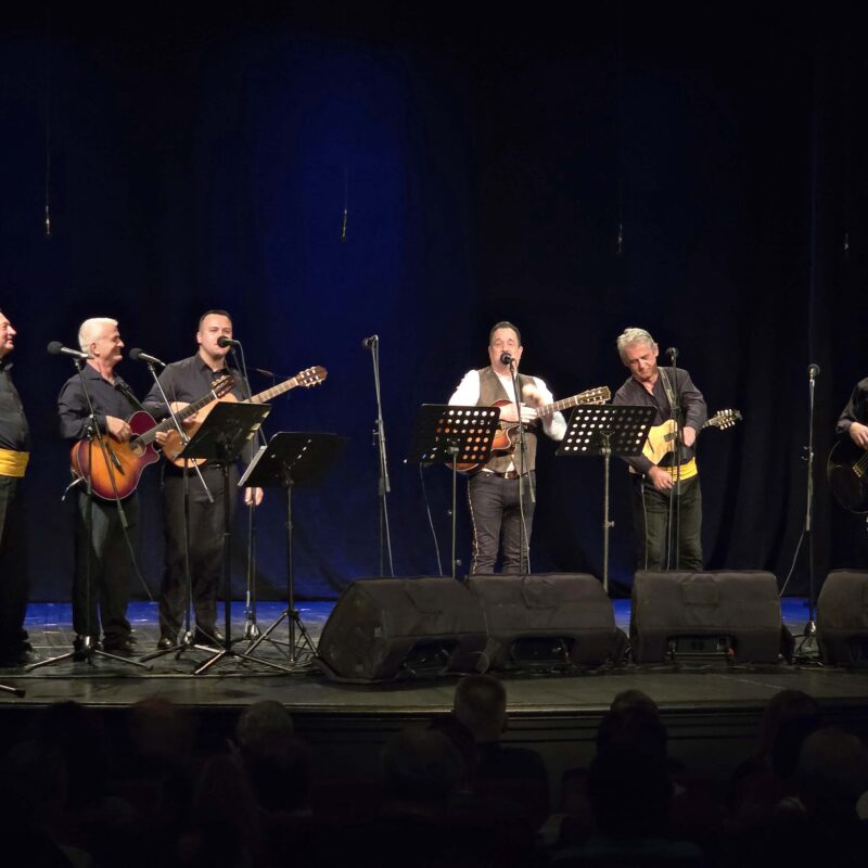 Koncert „Zdravo, o zvijezdo mora“ za Kamenčiće 01 - Udruga Kamenčići