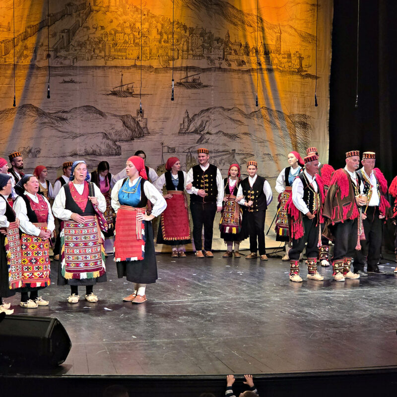 Zahvala donatorima i svima koji su sudjelovali u humanitarnom koncertu “Srce na dlanu” za Kamenčiće - Udruga Kamenčići