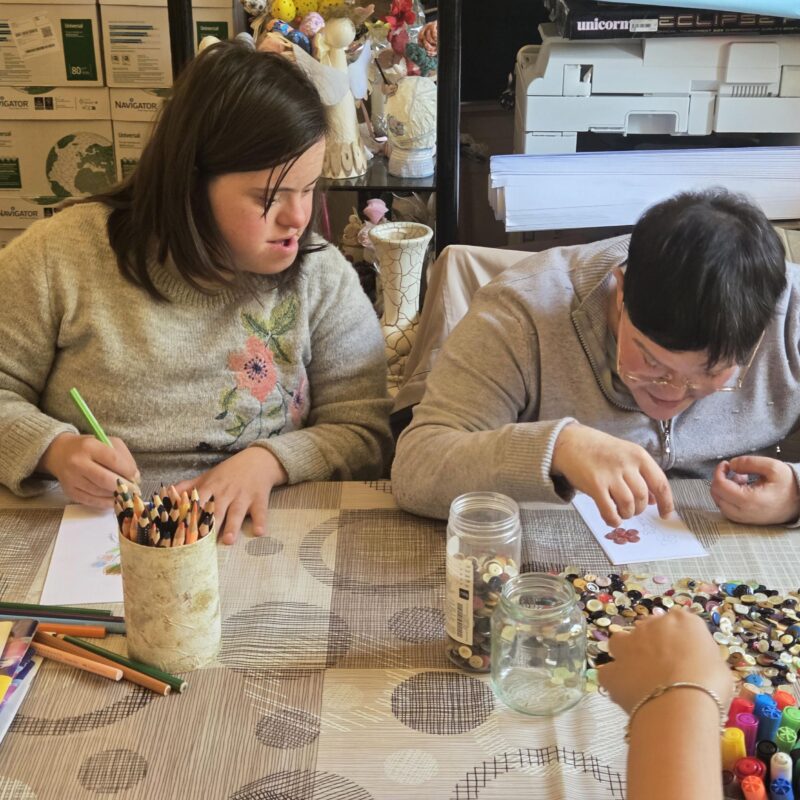 Radionice “Koraci ka samostalnosti: Razmjena dobrih praksi u inkluzivnom obrazovanju” 01 - Udruga Kamenčići