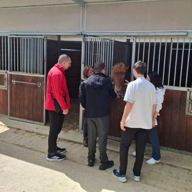 „Koraci ka samostalnosti: Razmjena dobrih praksi u inkluzivnom obrazovanju“ 01 - Udruga Kamenčići