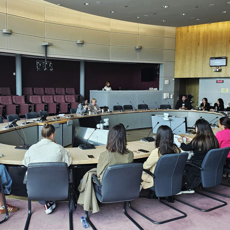 U Bruxellesu održan seminar za predstavnike organizacija civilnog društva 01 - Udruga Kamenčići