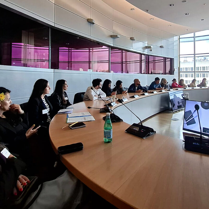 U Bruxellesu održan seminar za predstavnike organizacija civilnog društva 01 - Udruga Kamenčići