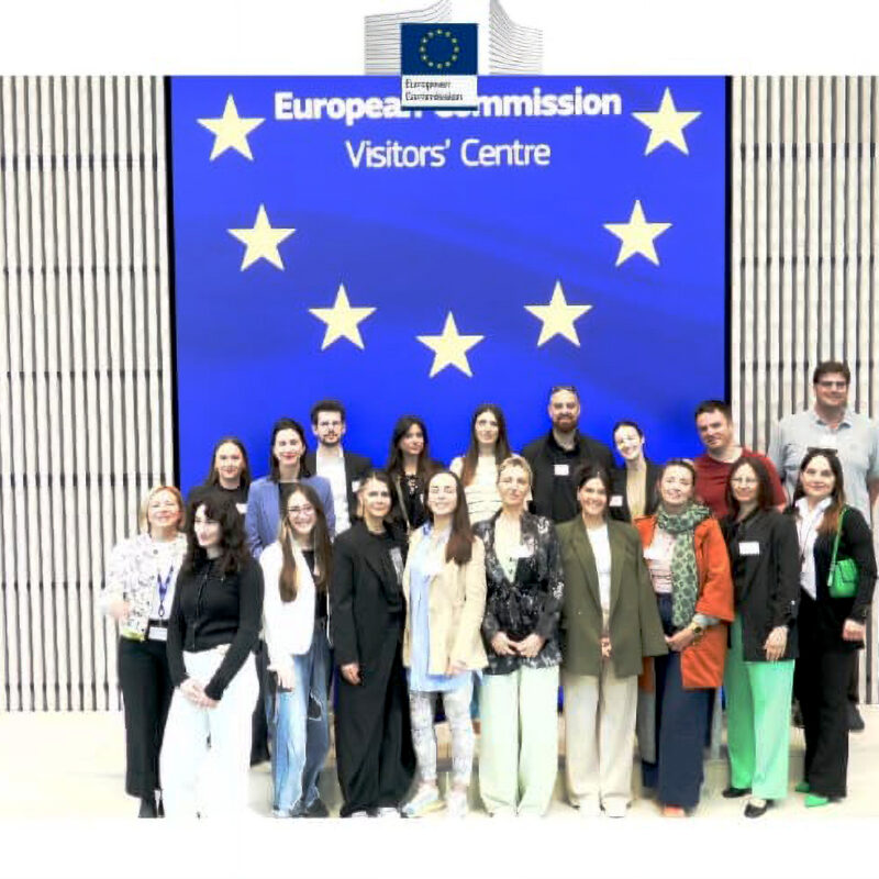 U Bruxellesu održan seminar za predstavnike organizacija civilnog društva - Udruga Kamenčići